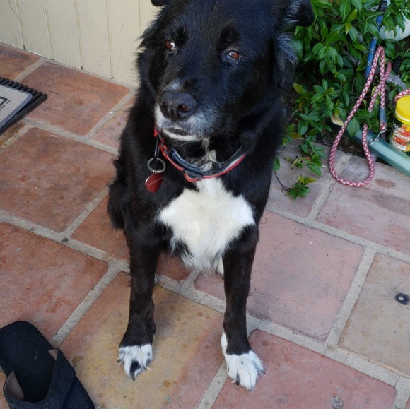 Annie Nell C. Posh Ambas. - Picture 3 of 3